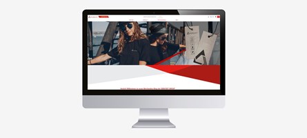Ingold Solutions GmbH Proyecto - Relanzamiento de la web B2B