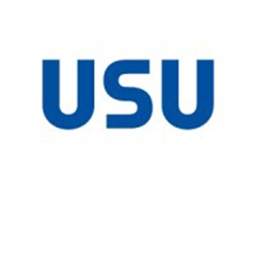 USU Solutions International logotipo