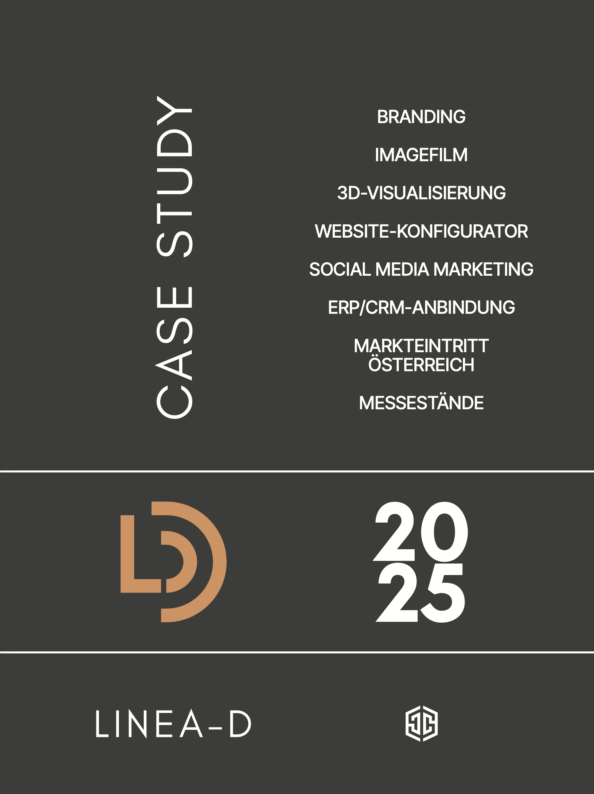 Rebranding, posicionamiento y desarrollo web