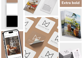 Simba agency Proyecto -