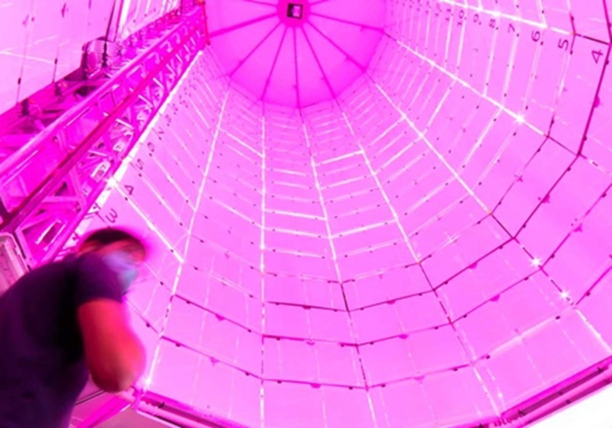 Visita guiada virtual de Farmitank - 