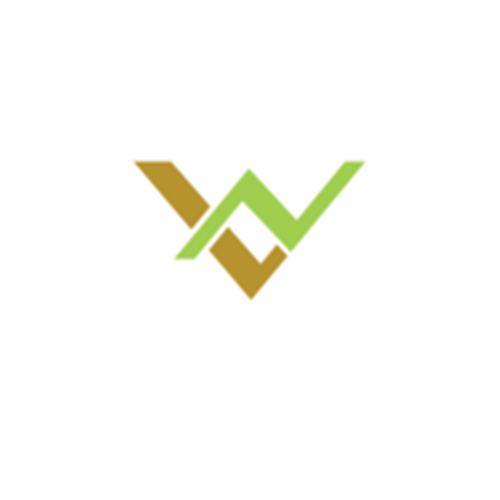 LZVCPA Inc logotipo