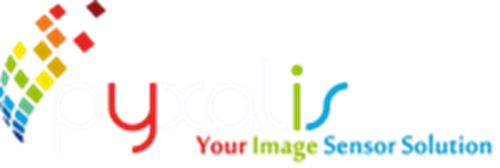 Pyxalis logotipo