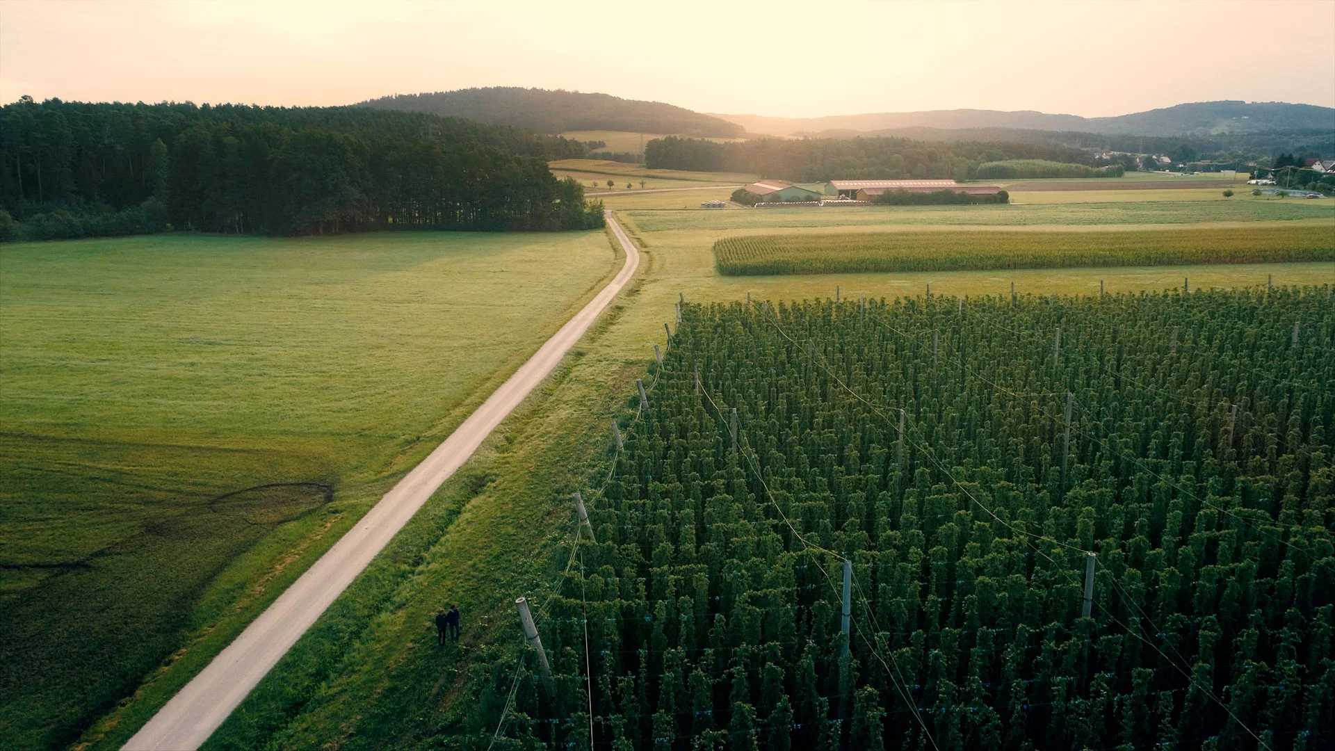 100 % ecológico, sin concesiones