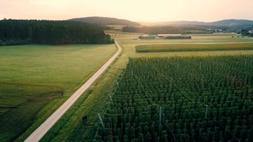 lichtschreiber Proyecto - 100 % ecológico, sin concesiones