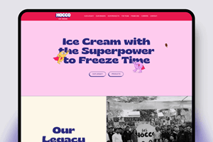 Elsner Technologies Pvt. Ltd. Proyecto - Hocco