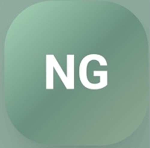 NUTS GLOBAL logotipo