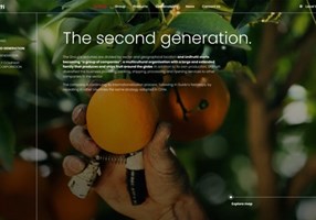 Kormoan Pvt Ltd Proyecto -