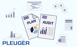 Chudovo OÜ Proyecto - Auditoría informática para un fabricante industrial