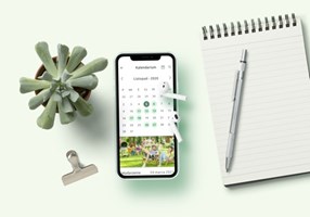UX-MAN Proyecto -