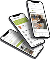 NEON Software Solutions GmbH Proyecto - Universidad canina