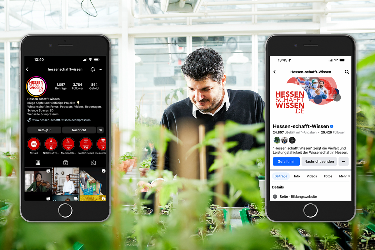 Hessen schafft Wissen: contenidos y gestión editorial para redes sociales