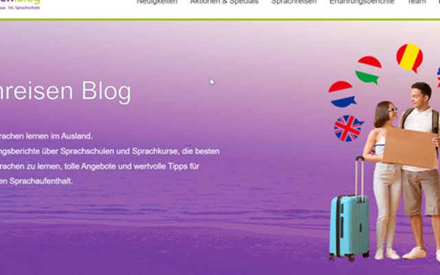MS WEBDESIGN Proyecto -